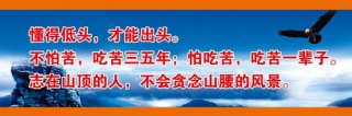 kaiyun官方网站:第一次人类环境会议的背景(论述第一次人类环境会议的背景)